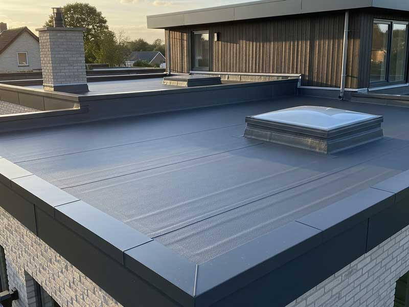 Roof Restoration Project